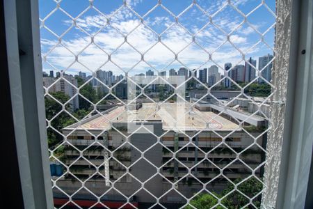 Vista Quarto 1 de apartamento para alugar com 2 quartos, 70m² em Vila Andrade, São Paulo