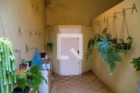 Casa à venda com 347m², 4 quartos e 2 vagasQuintal 3