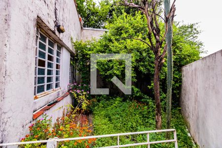 Casa para alugar com 400m², 3 quartos e 3 vagasÁrea Externa