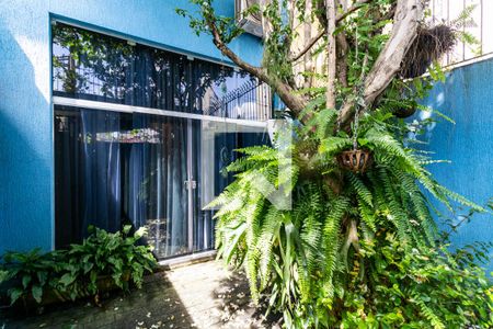 1o. Andar - Jardim de inverno de casa à venda com 4 quartos, 260m² em Bosque da Saúde, São Paulo