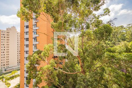 Apartamento para alugar com 62m², 2 quartos e 1 vaga Apartamento para alugar com 62m², 2 quartos e 1 vagaVista do Quarto 1