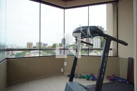 Varanda _ Sala de ginástica de apartamento para alugar com 4 quartos, 311m² em Santa Cecília, Porto Alegre