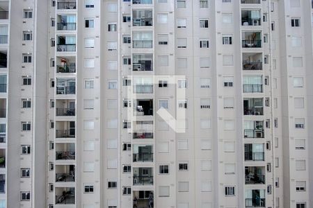Apartamento para alugar com 56m², 2 quartos e 1 vaga Apartamento para alugar com 56m², 2 quartos e 1 vagaVista do Quarto 1
