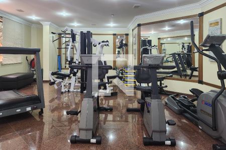 Apartamento para alugar com 450m², 4 quartos e 6 vagasÁrea comum - Academia