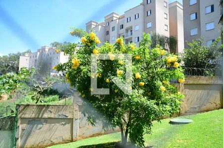 Apartamento para alugar com 63m², 3 quartos e 1 vagaVista do Quarto 3 