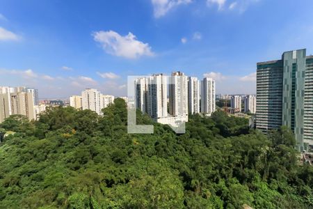 Vista da Varanda de apartamento para alugar com 2 quartos, 108m² em Vila Andrade, São Paulo