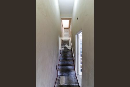 Casa à venda com 250m², 5 quartos e 8 vagas Casa à venda com 250m², 5 quartos e 8 vagasCorredores e Escadas