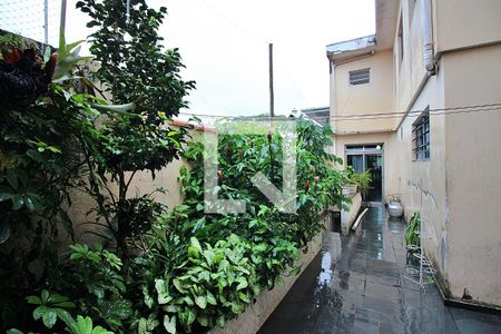 Quintal  de casa à venda com 4 quartos, 242m² em Jordanópolis, São Bernardo do Campo