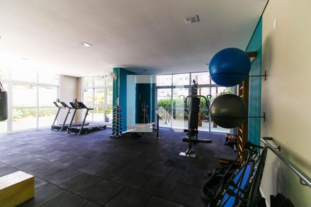 Apartamento à venda com 55m², 2 quartos e 1 vaga Apartamento à venda com 55m², 2 quartos e 1 vagaÁrea comum - Academia