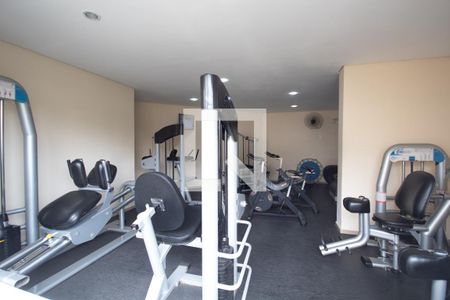 Apartamento à venda com 53m², 2 quartos e 1 vaga Apartamento à venda com 53m², 2 quartos e 1 vagaÁrea comum - Academia