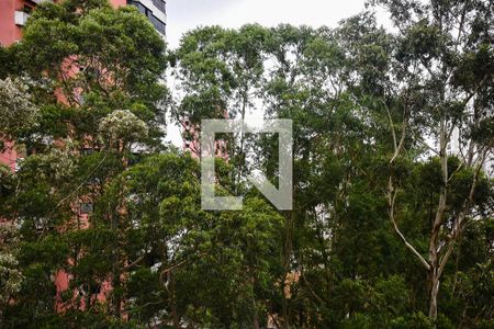 Apartamento à venda com 180m², 4 quartos e 4 vagasVista do quarto 1