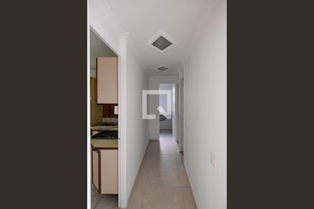 Corredor de apartamento para alugar com 2 quartos, 64m² em Jardim Santa Emília, São Paulo