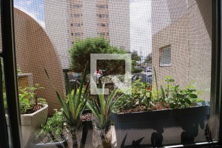 Apartamento à venda com 70m², 3 quartos e sem vaga Apartamento à venda com 70m², 3 quartos e sem vagaVista da Cozinha