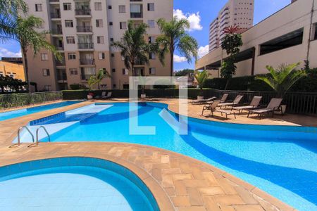 Apartamento para alugar com 64m², 2 quartos e 1 vaga Apartamento para alugar com 64m², 2 quartos e 1 vagaÁrea comum - Piscina