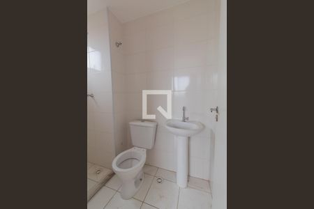 Banheiro de apartamento para alugar com 1 quarto, 24m² em Vila Nova das Belezas, São Paulo