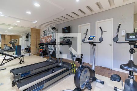 Apartamento para alugar com 49m², 1 quarto e 1 vagaÁrea comum - Academia