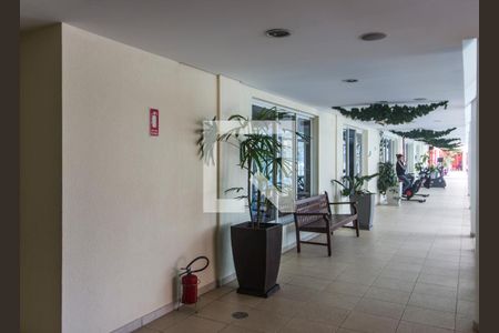 Apartamento para alugar com 133m², 3 quartos e 2 vagasÁrea comum