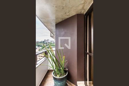 Apartamento à venda com 320m², 4 quartos e 4 vagasVaranda