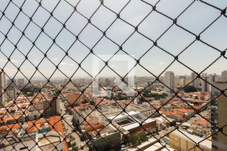 Apartamento para alugar com 522m², 4 quartos e 5 vagasVista Varanda Suíte 4