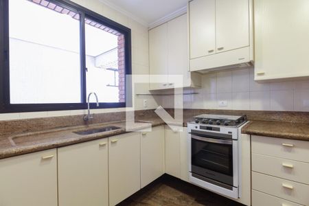 Apartamento para alugar com 522m², 4 quartos e 5 vagasCozinha - Cobertura