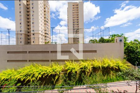 Vista de apartamento para alugar com 4 quartos, 180m² em Serra, Belo Horizonte