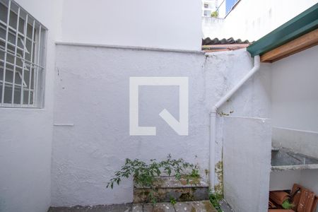 Quintal e Área de Serviço de casa para alugar com 4 quartos, 150m² em Vila Clementino, São Paulo