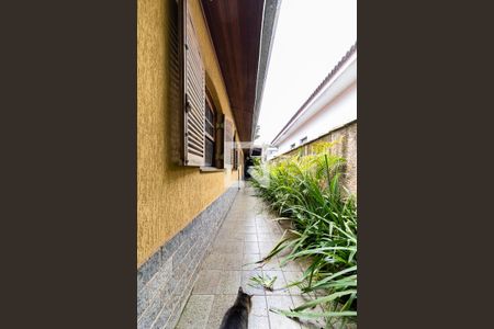 Casa para alugar com 280m², 4 quartos e 4 vagas Casa para alugar com 280m², 4 quartos e 4 vagasQuintal/Jardim - Corredor