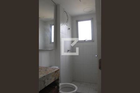 Banheiro de apartamento para alugar com 2 quartos, 47m² em Passo das Pedras, Gravataí