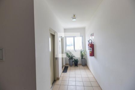 Apartamento à venda com 71m², 3 quartos e 2 vagasEntrada