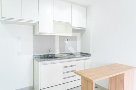 Sala/Cozinha de apartamento para alugar com 1 quarto, 29m² em Vila Santa Catarina, São Paulo