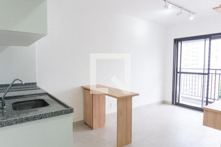 Sala/Cozinha de apartamento para alugar com 1 quarto, 29m² em Vila Santa Catarina, São Paulo