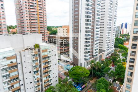 Vista da Sacada de apartamento para alugar com 1 quarto, 29m² em Vila Santa Catarina, São Paulo