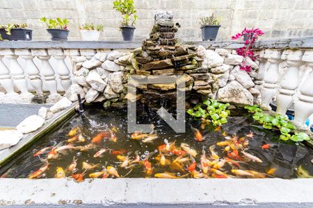 Casa à venda com 500m², 2 quartos e 4 vagasDetalhe