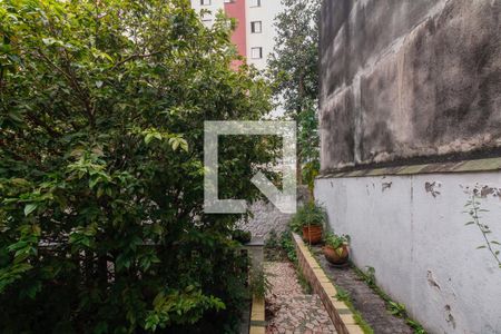 Casa à venda com 250m², 4 quartos e 2 vagasQuintal 