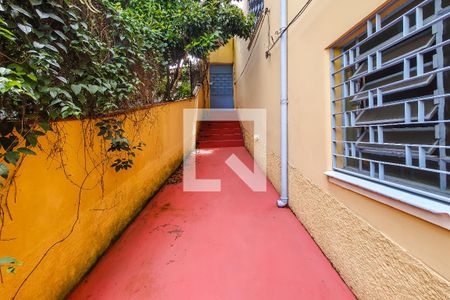 Casa à venda com 310m², 3 quartos e 3 vagasQuintal