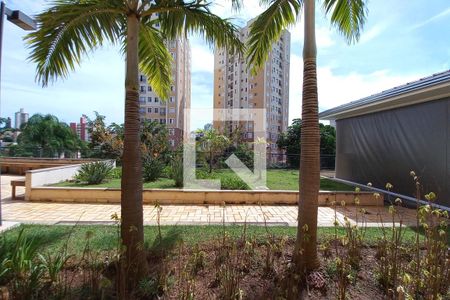 Vista do Quarto 2 de apartamento para alugar com 2 quartos, 48m² em Vila Satúrnia, Campinas