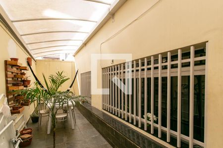 Jardim de Inverno de apartamento à venda com 4 quartos, 260m² em Jaraguá, Belo Horizonte