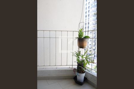 Varanda de apartamento à venda com 2 quartos, 60m² em Bosque da Saúde, São Paulo