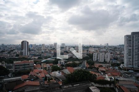 Vista Área de Serviço de apartamento para alugar com 2 quartos, 40m² em Vila Guilhermina, São Paulo