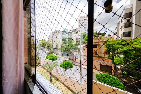 Vista de apartamento à venda com 3 quartos, 67m² em Caiçara-adelaide, Belo Horizonte