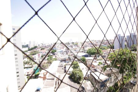Vista da Sala de apartamento à venda com 3 quartos, 72m² em Vila Constancia, São Paulo