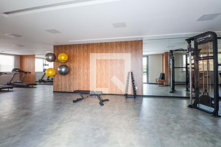 Apartamento para alugar com 38m², 1 quarto e sem vagaAcademia