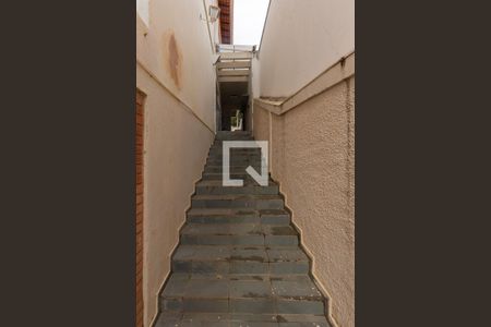 Casa à venda com 283m², 4 quartos e 4 vagasQuintal