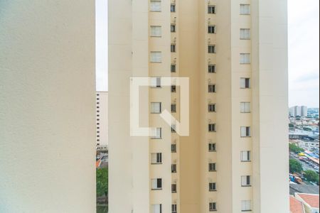 Apartamento à venda com 73m², 3 quartos e 2 vagas Apartamento à venda com 73m², 3 quartos e 2 vagasVista do Quarto 2