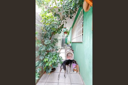 Casa à venda com 150m², 3 quartos e 2 vagas Casa à venda com 150m², 3 quartos e 2 vagasCorredor Externo