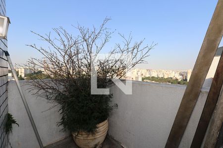 Apartamento para alugar com 244m², 4 quartos e 3 vagas Apartamento para alugar com 244m², 4 quartos e 3 vagasTerraço e Piscina