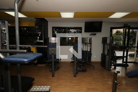 Apartamento para alugar com 244m², 4 quartos e 3 vagas Apartamento para alugar com 244m², 4 quartos e 3 vagasÁrea comum - Academia