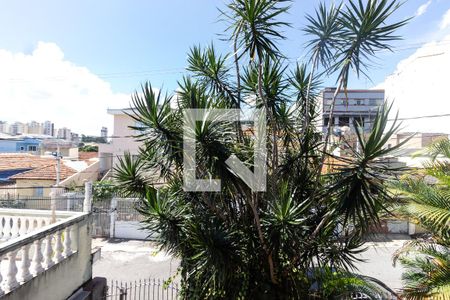 Casa à venda com 300m², 4 quartos e 8 vagas Casa à venda com 300m², 4 quartos e 8 vagasVista