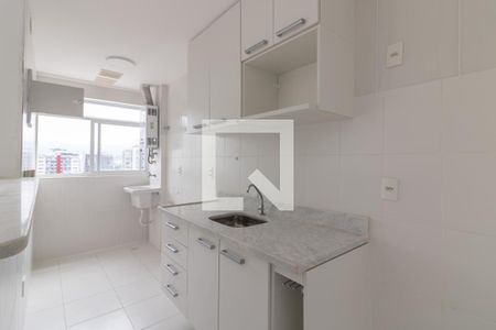 Apartamento para alugar com 50m², 2 quartos e 1 vagaCozinha