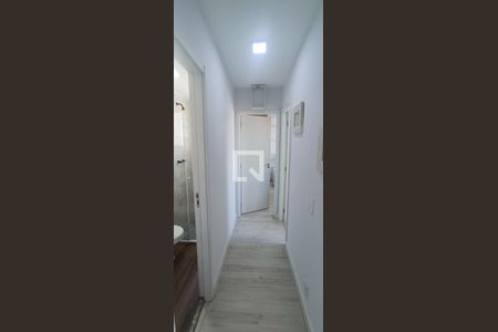 Corredor de apartamento para alugar com 2 quartos, 42m² em Jardim Novo Taboão, São Paulo
